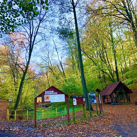 Las Slupski Premium Apartament Nr6 Wifi Netflix Smart Tv50 Two Bedrooms Two Extra Large Double Beds Up To 6 People Full Pleasure Quality Stay (Adults Only) Экстерьер фото
